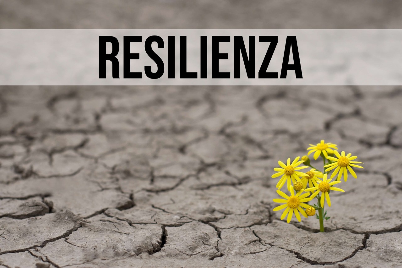 resilienza